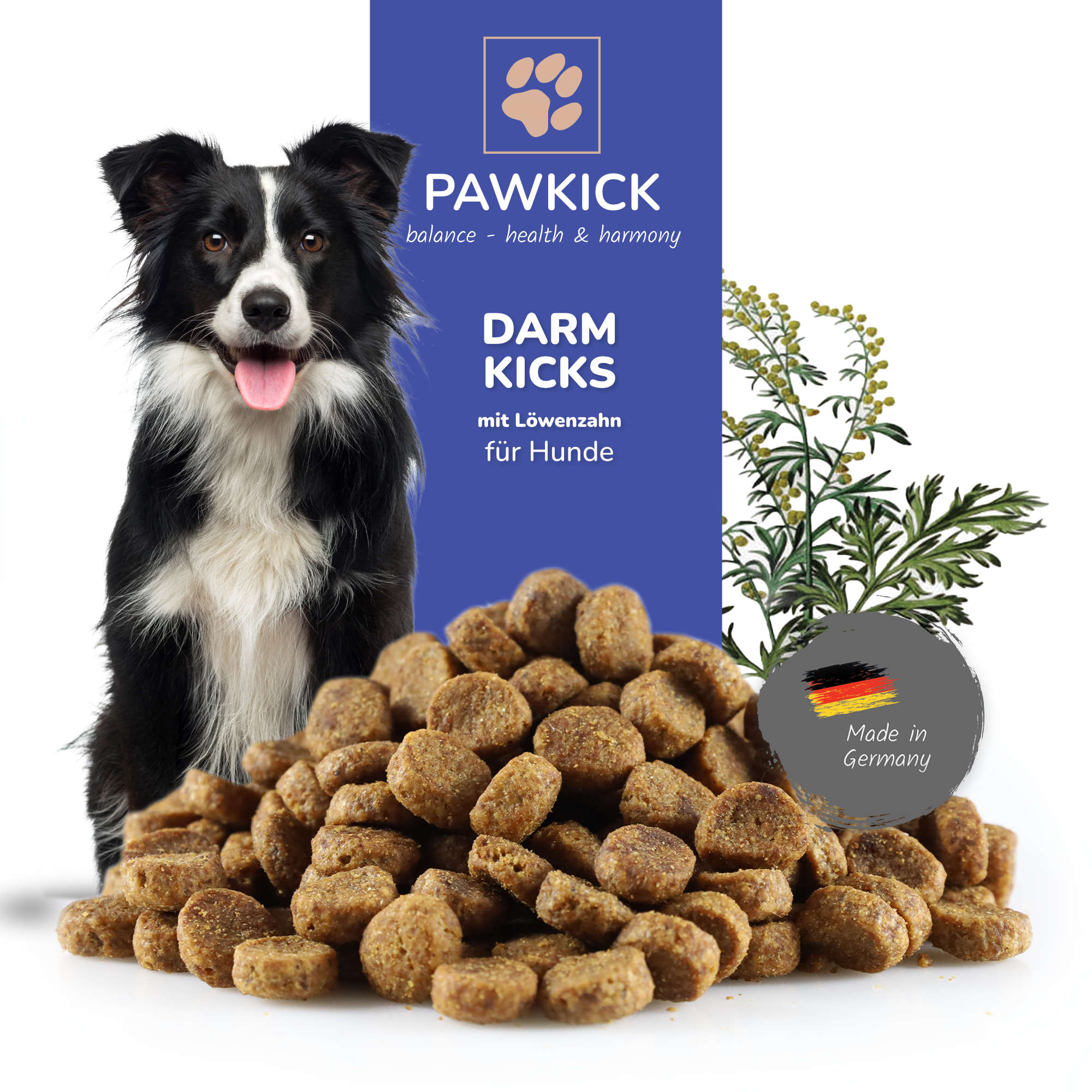 PAWKICK DARM-KICKS DOG - 3 Monatskur!